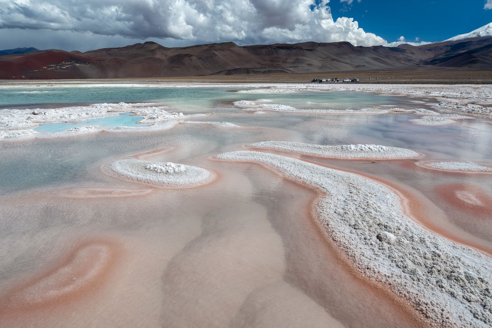 Laguna altoandina con costras de sal rosadas y blancas en la Puna
